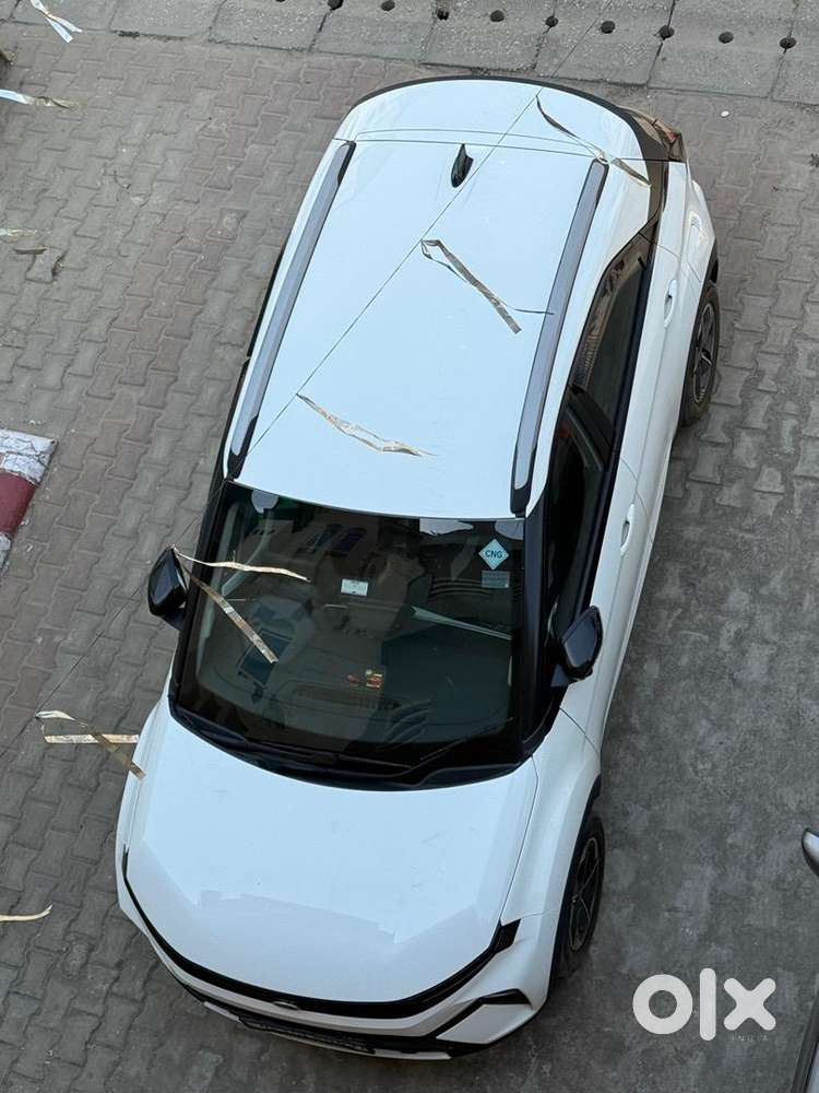 Tata Nexon Creative Plus Icng  2024 Cng & Hybrids 32000 Km Driven