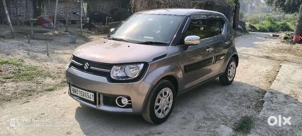 Igins Petrol 2019 Sigma