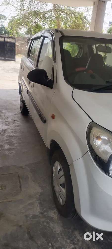 Alto 800 For Sale