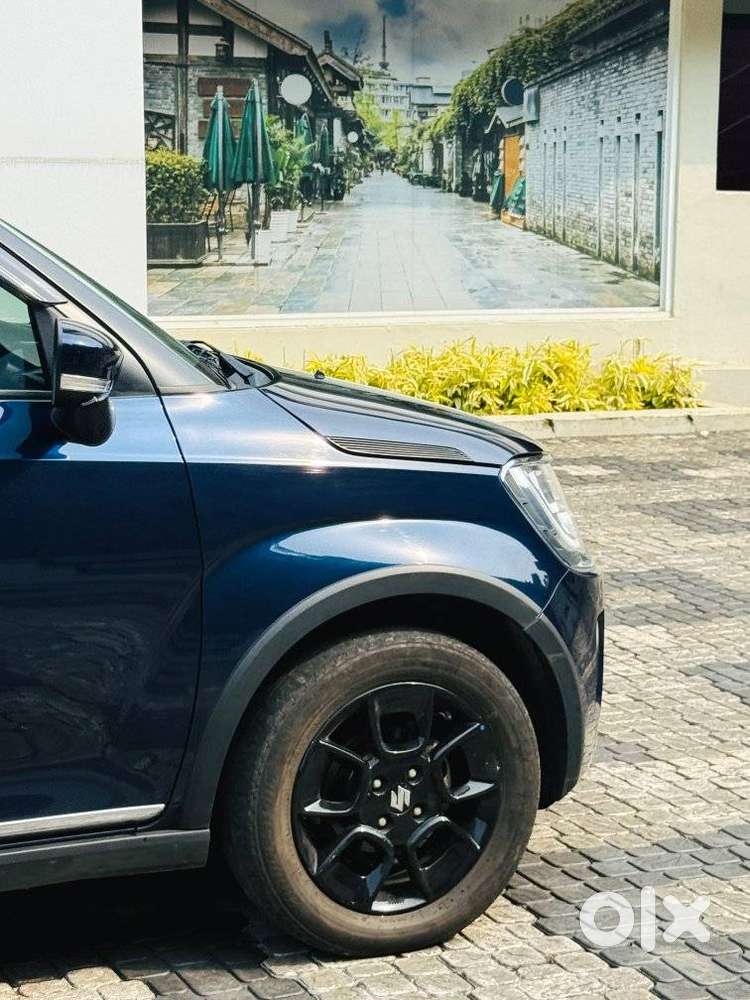 Maruti Suzuki Ignis 1.2 Alpha Amt, 2024, Petrol