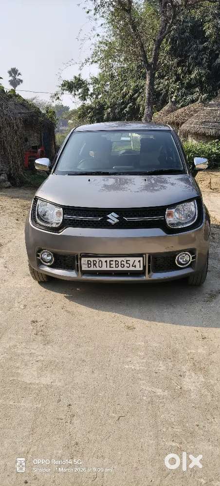 Igins Petrol 2019 Sigma