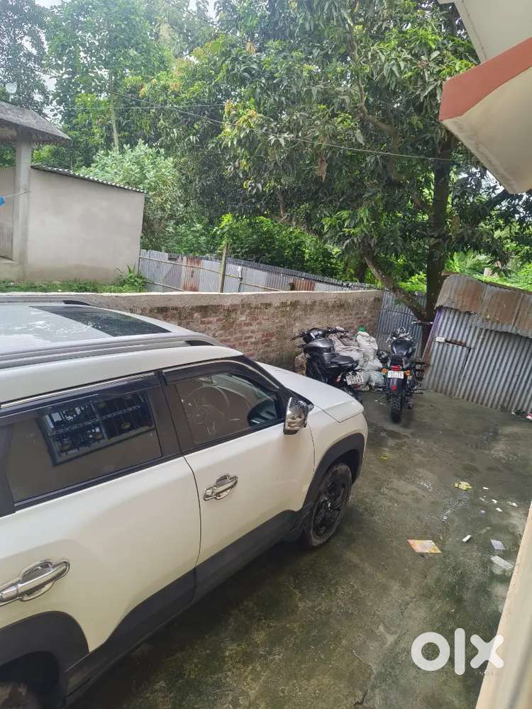 Maruti Suzuki Brezza 2024 Petrol Well Maintained