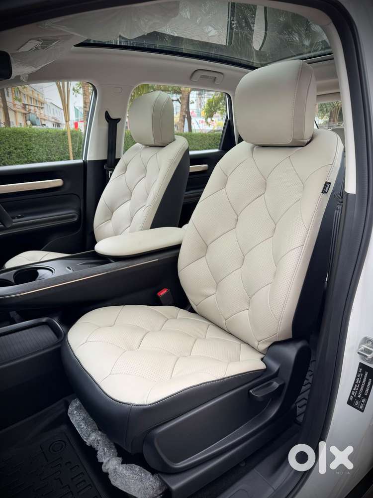 Mg Windsor Ev Essence, 2025, Electric