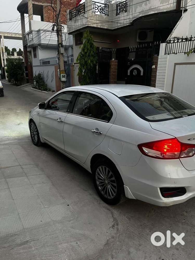 Maruti Suzuki Ciaz White Top Alpha In Brand New Conditio