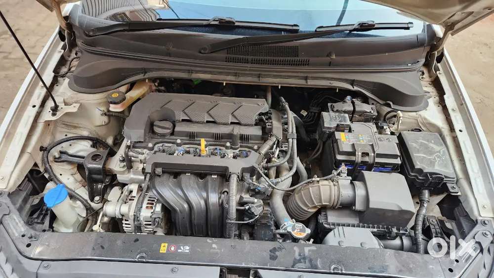 Hyundai New Verna 2023 Petrol 40000 Km Driven
