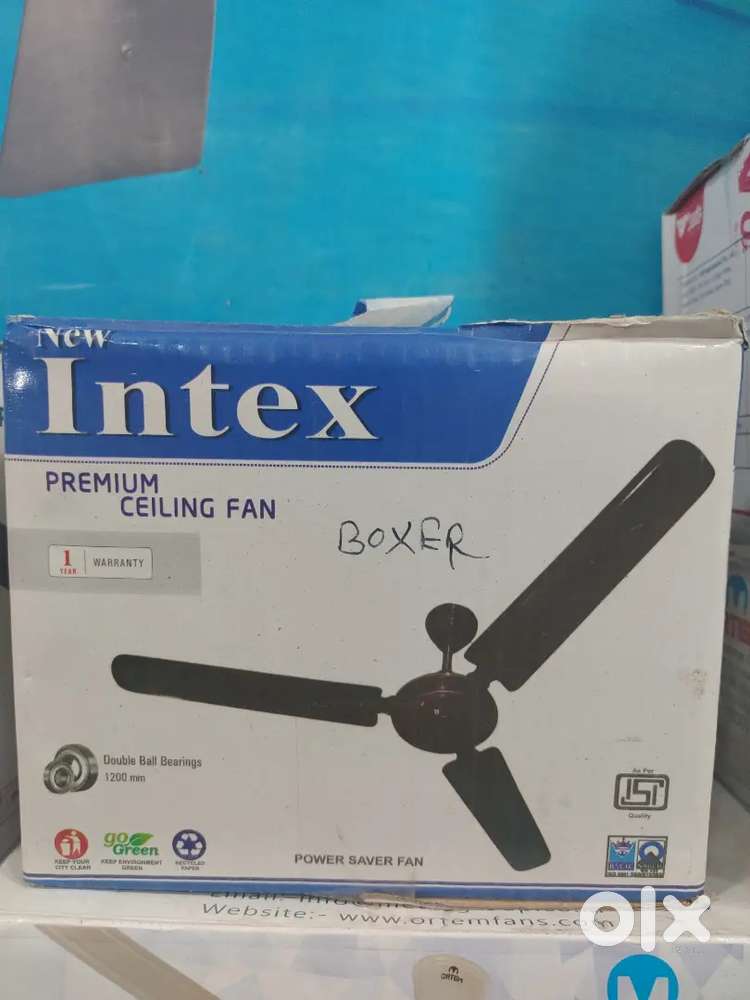 Ceiling fan