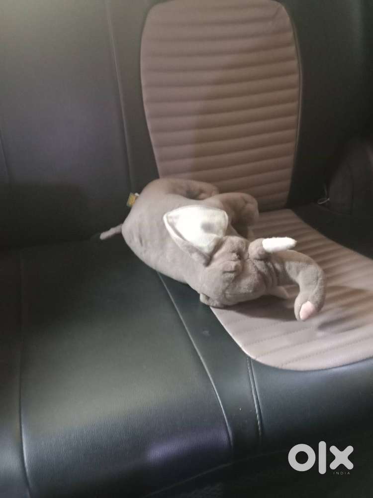 Sale My Car Immediately