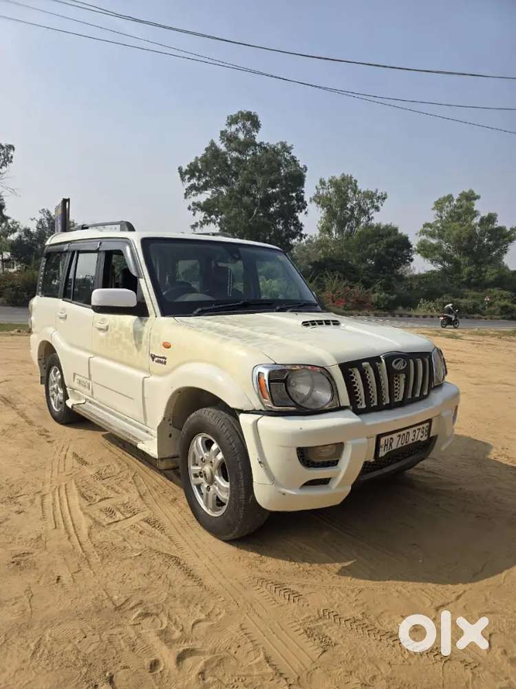 All Car Available Jind Self Drive And Sale Purchase