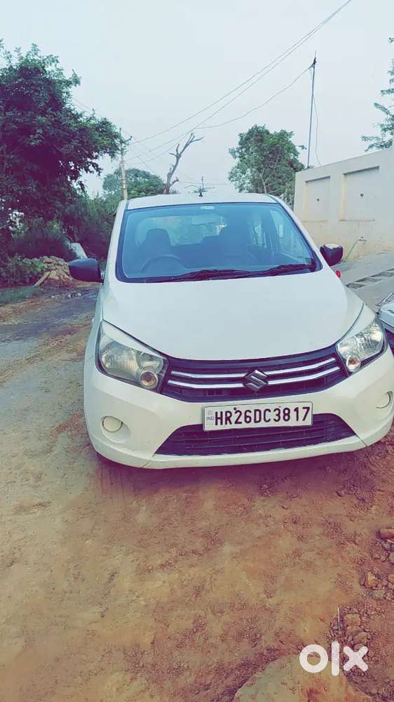 2021 Maruti Suzuki Celerio Cng Vxi  Excellent Condition
