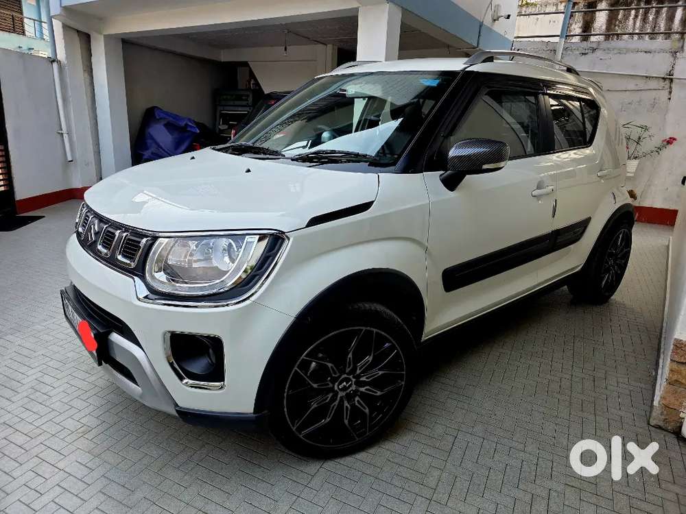 Top Model Ignis Alpha In Perfect Condition.