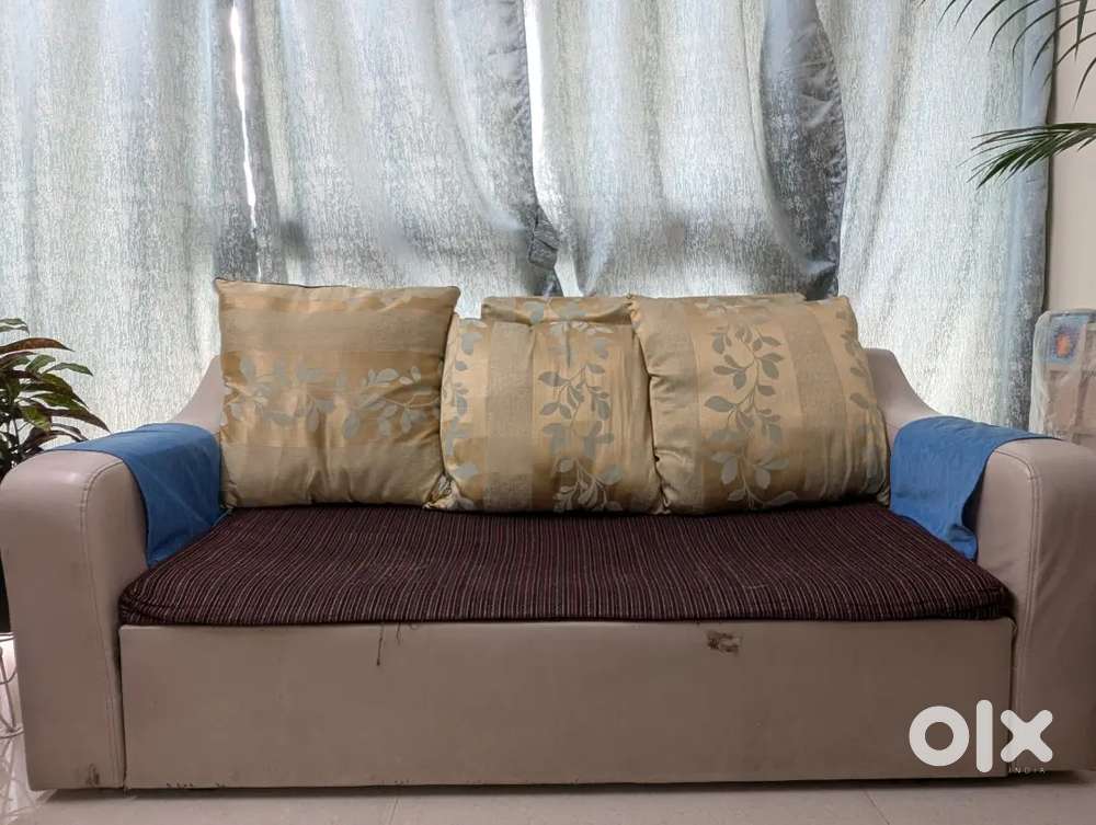 Sofa cum Bed