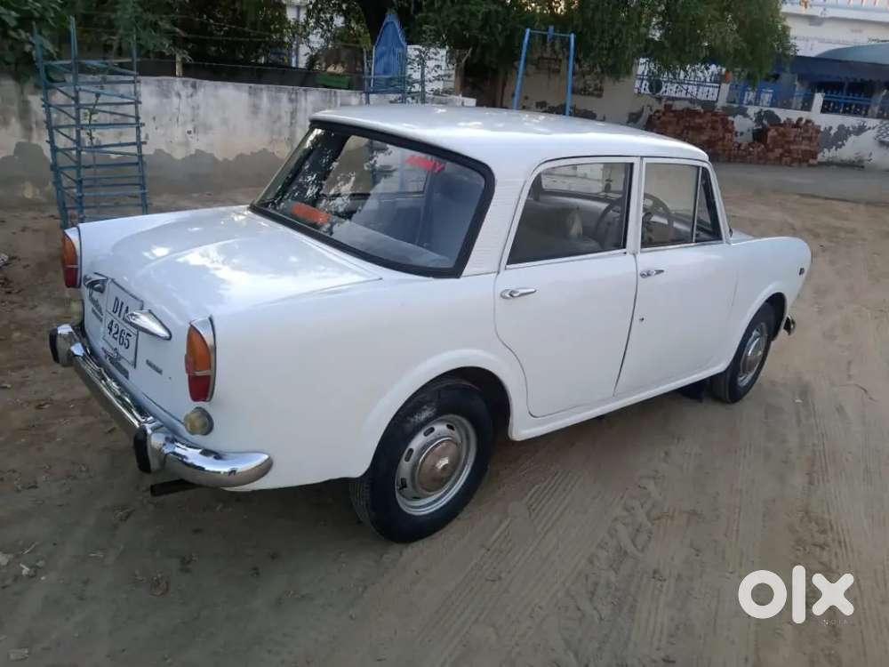 Fiet Primer Padmini White Colour (old Is Gold)