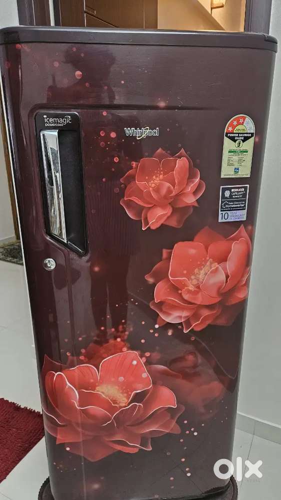 Whirlpool single door