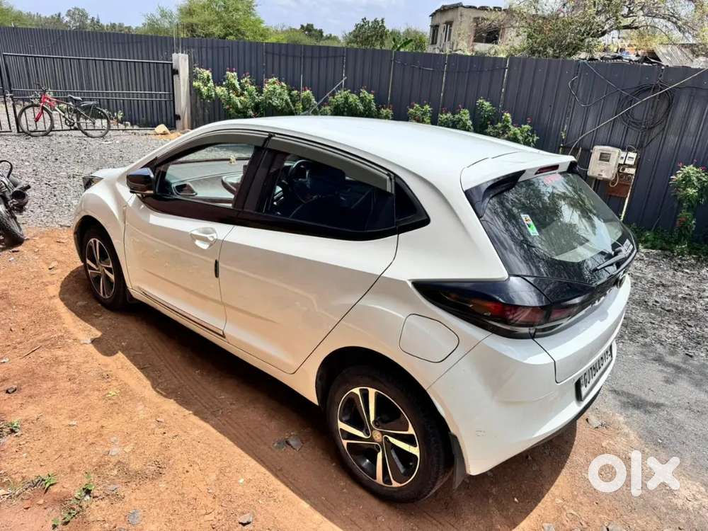 In Mint Condition Tata Altorz