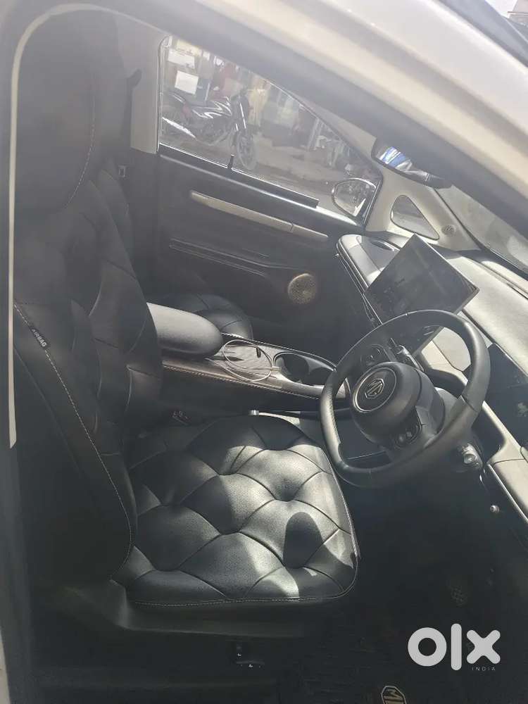 Mg Windsor Ev 2025