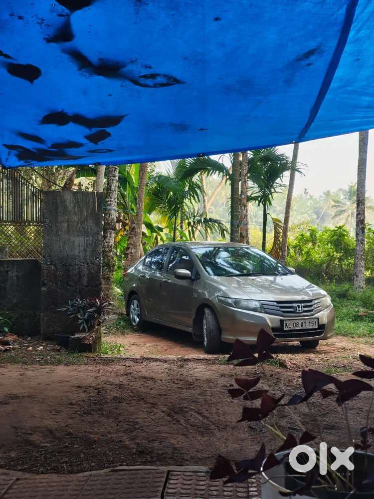 Honda City 2010 Petrol Mt