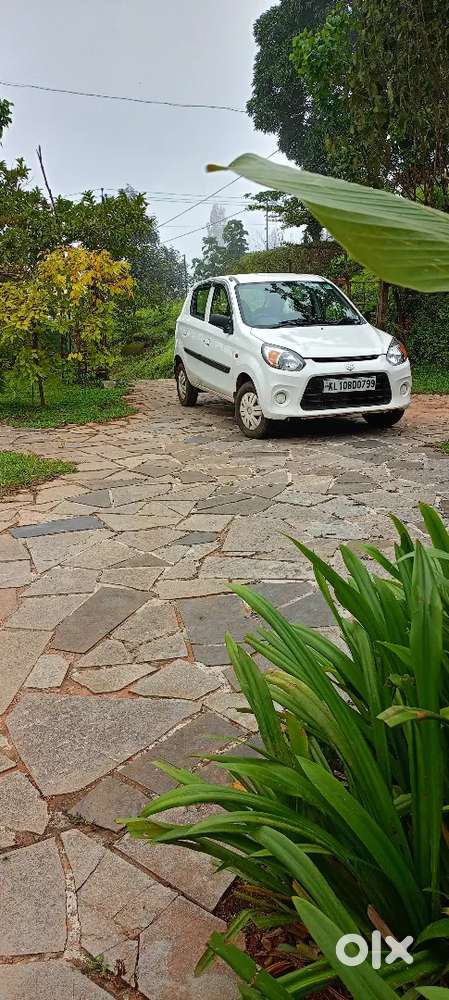 Maruti Suzuki Alto 800 2019