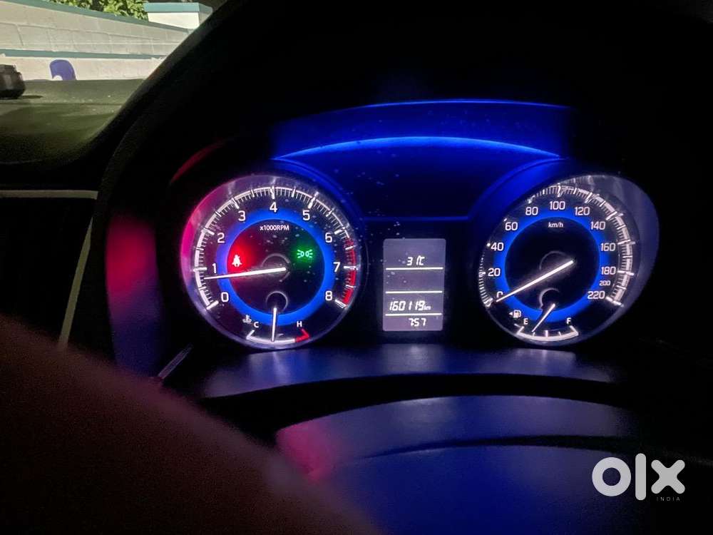 Excellent Body Condition