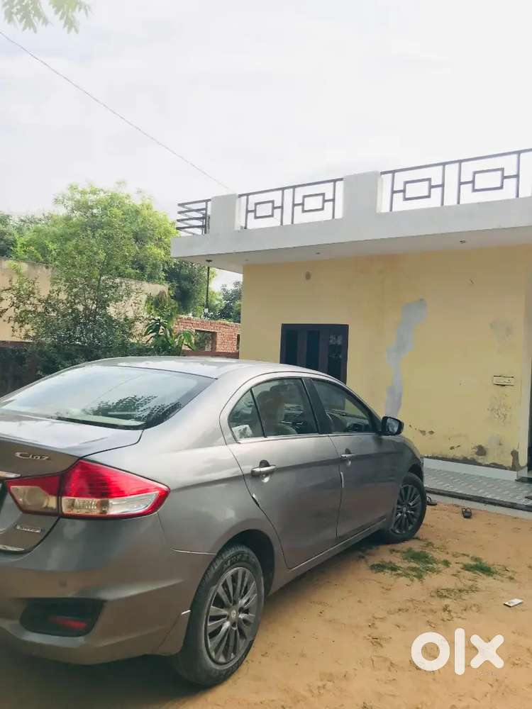 Maruti Suzuki Ciaz  Ddis Engine Power A1 Average 20+  Price No Negotia