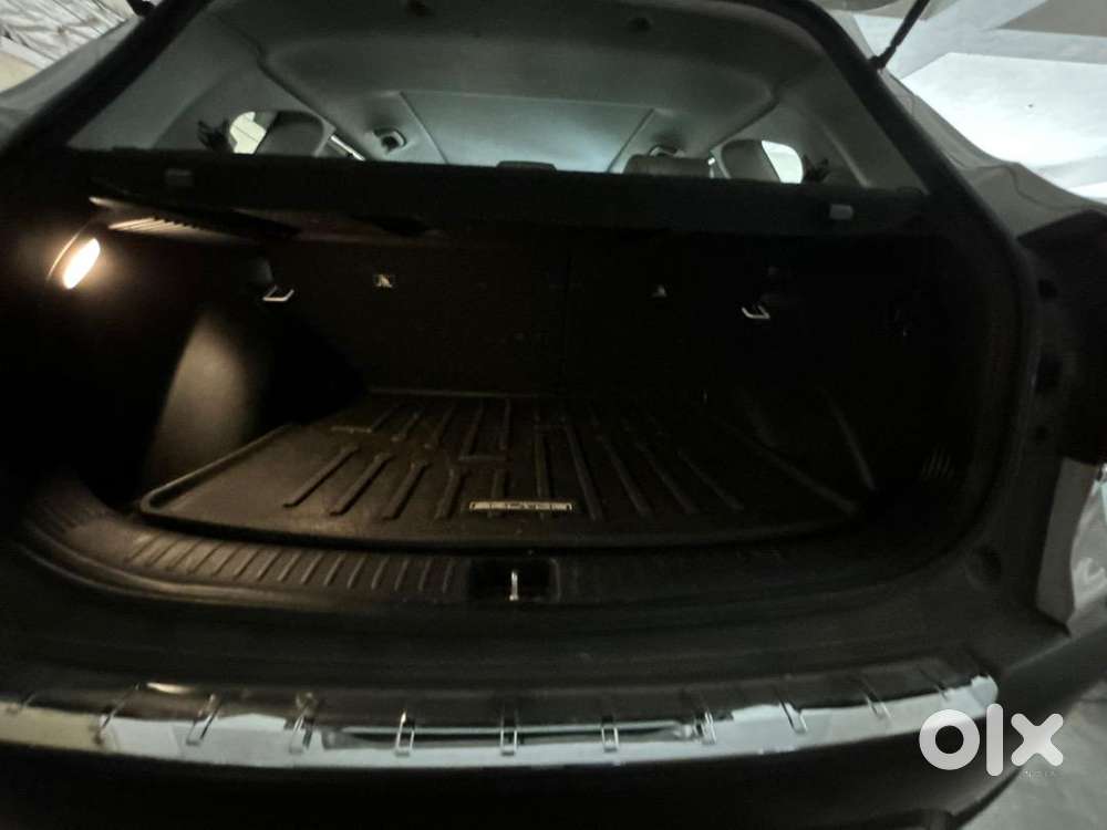 Kia Car Petrol 2023
