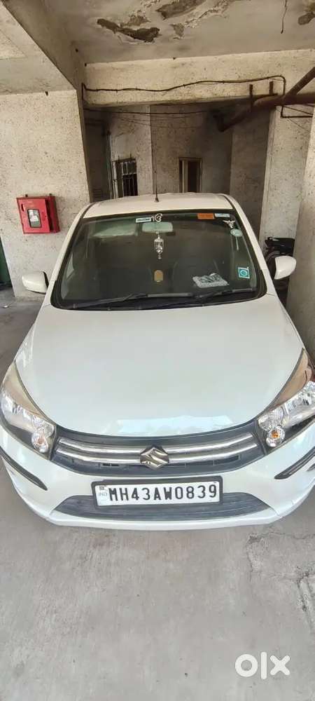 Maruti Suzuki Celerio 2016 Petrol Good Condition Automatic