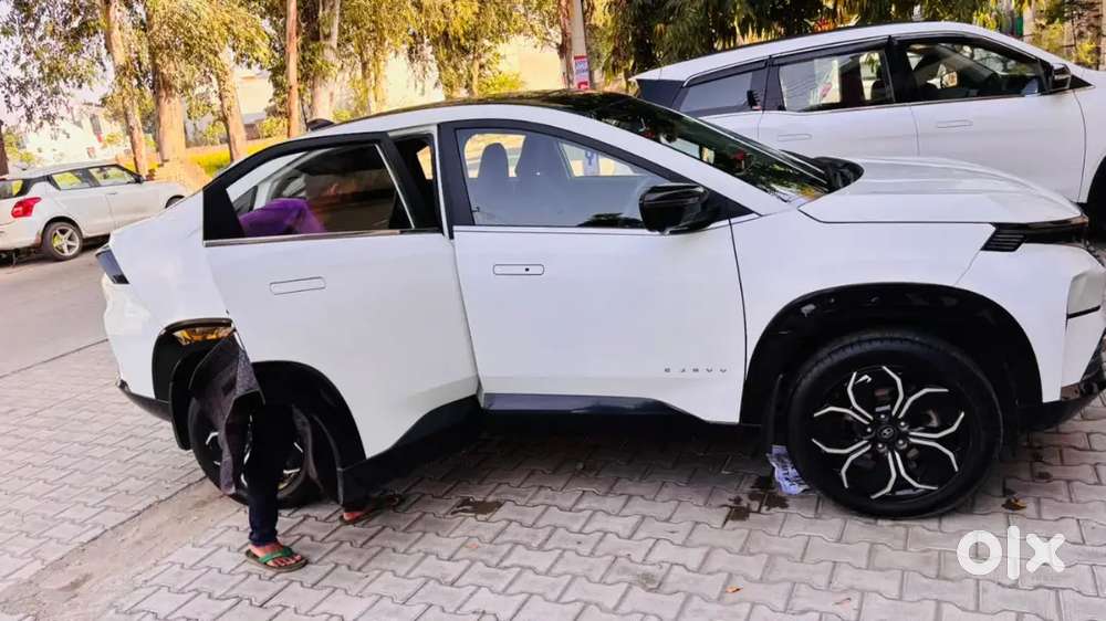 Tata Curvv Diesel 2024