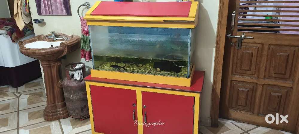 Fish Aquarium tank