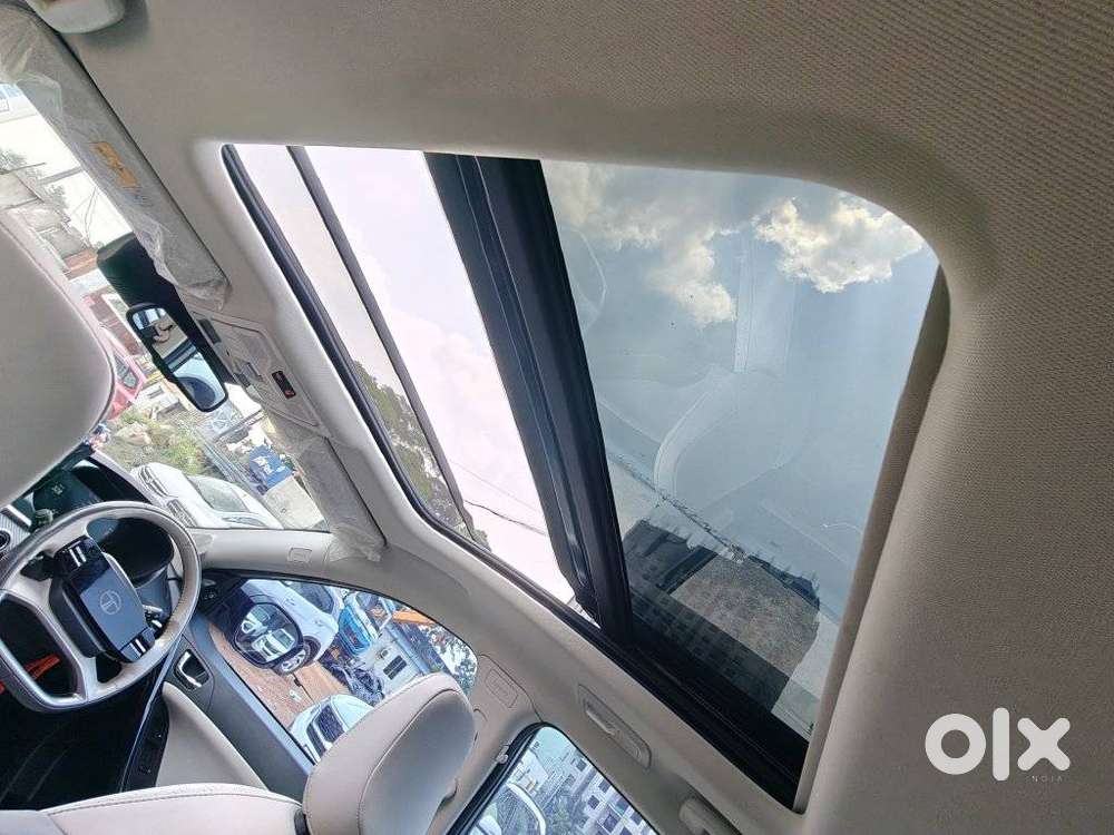 Tata Curvv Ev Empowered Plus A 55, 2024