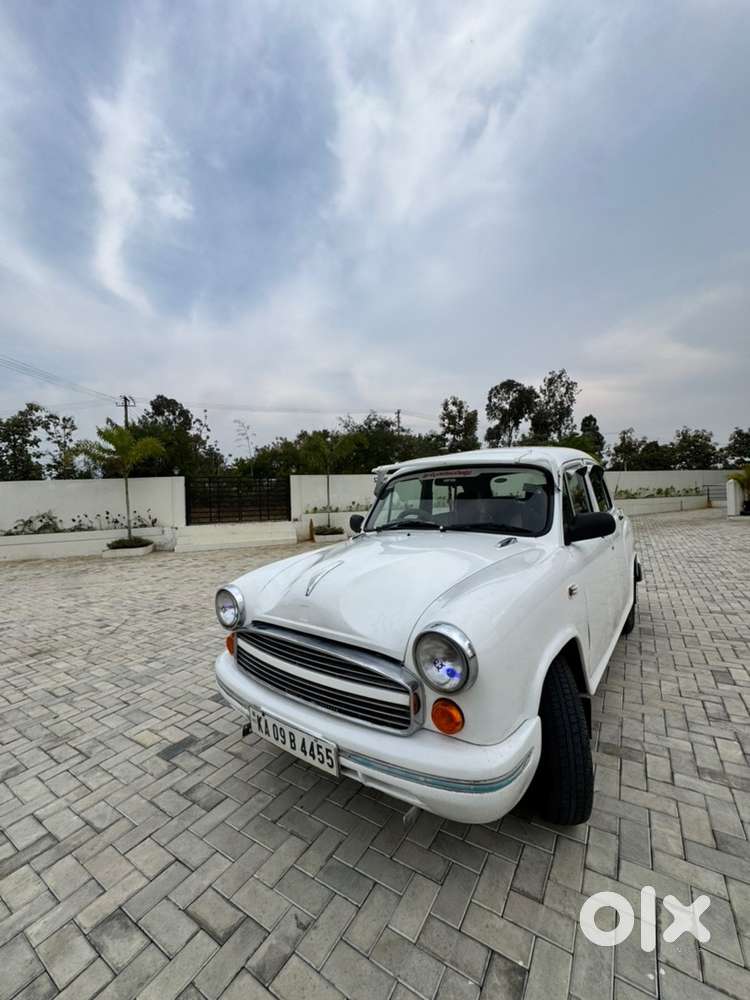 Urgent Sale Ambassdor