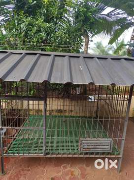 Olx dog kennels for hot sale sale