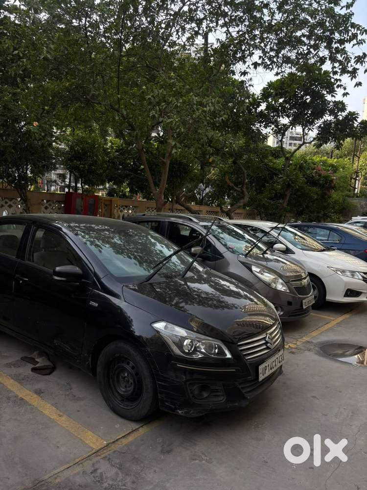 Maruti Ciaz Diesel Manual 2016 Year