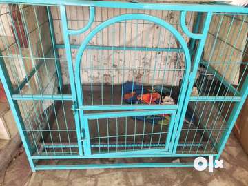 Dog cage outlet olx