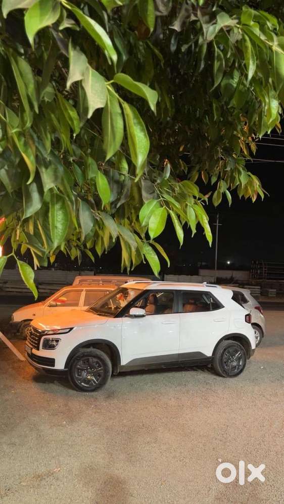Hyundai Venue 2024 Petrol 19000 Km Driven