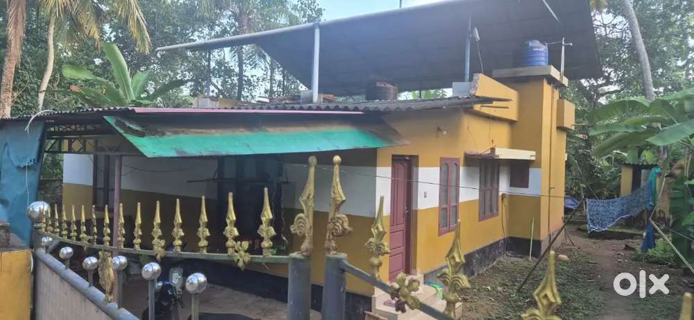 House for rent