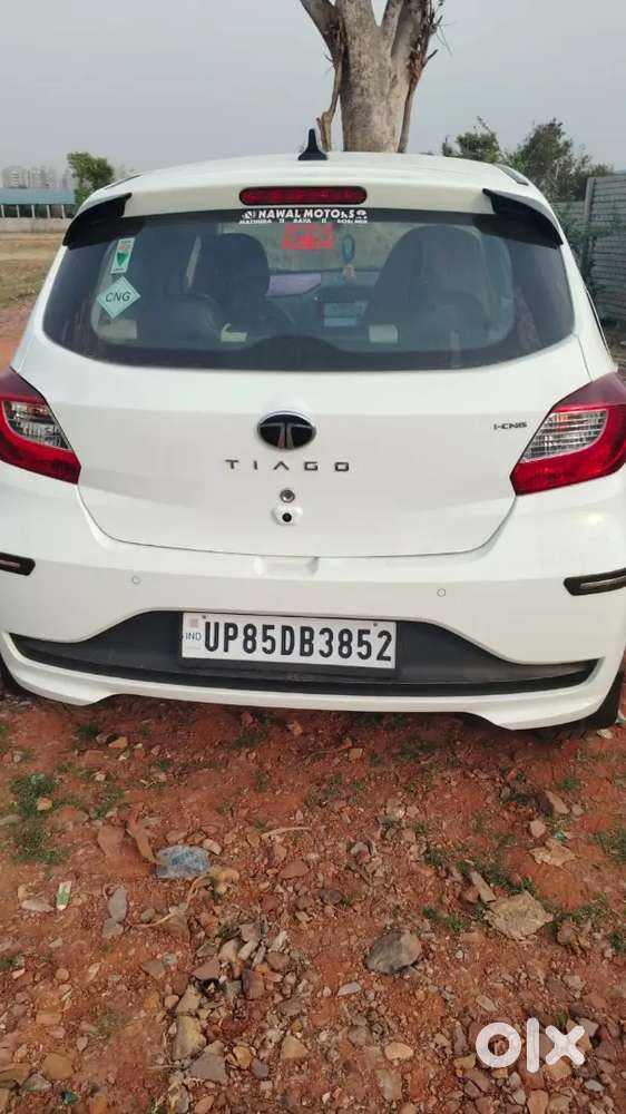 2 Manth Old 60 Kist H 11436 Ki 58 Baki H Car Lene Bale Hi Call Y Msg K