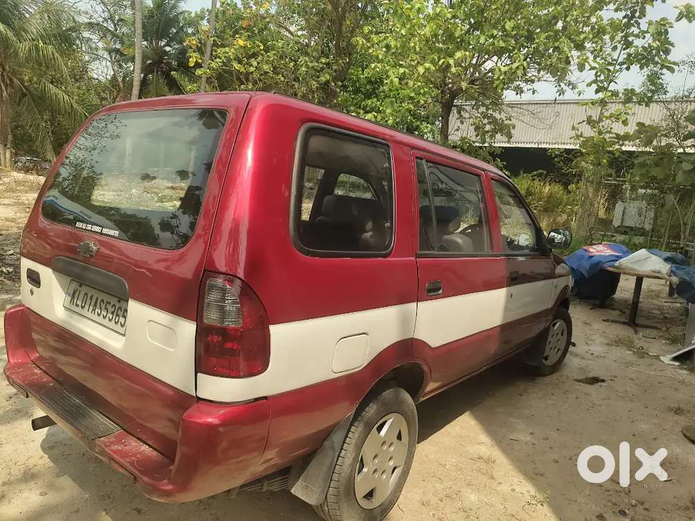 Company Service  Only