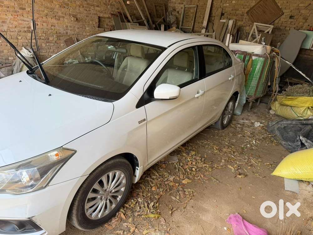 Maruti Suzuki Ciaz 2019 Diesel Well Maintained