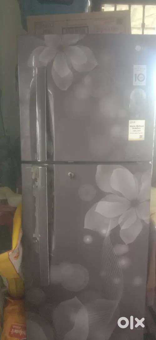 Fridge double