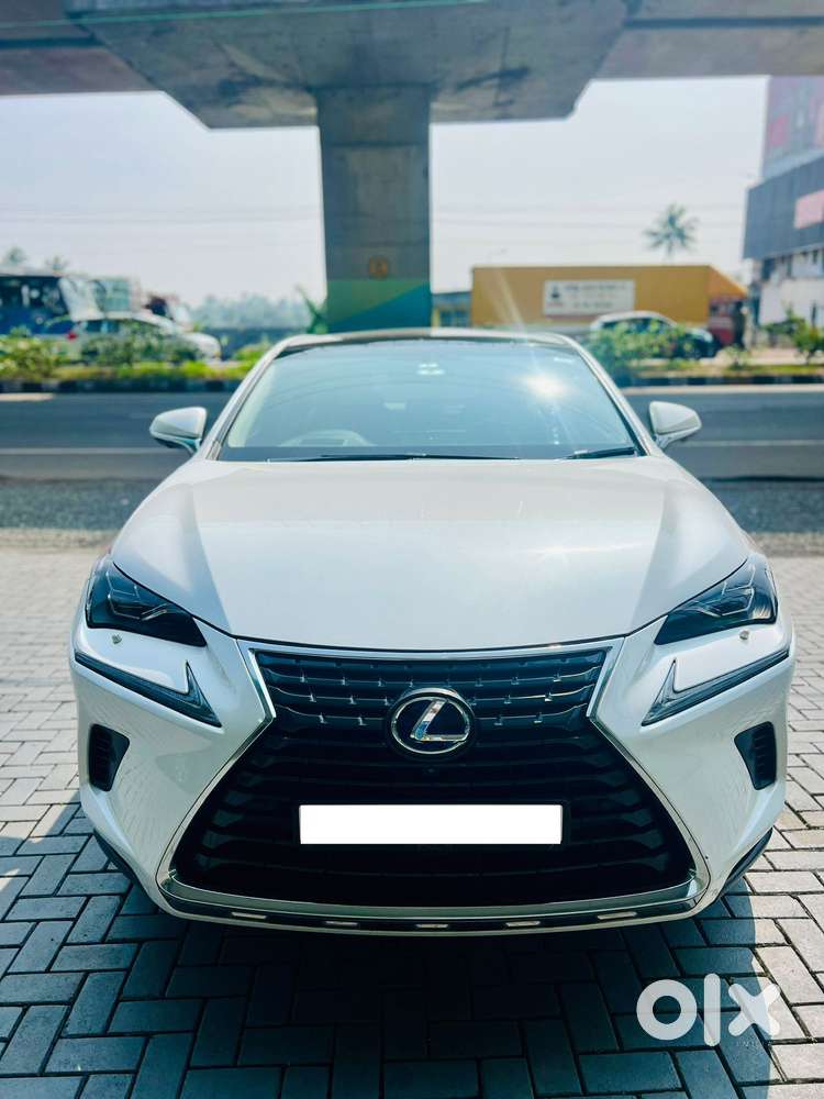 Lexus Nx Lexus-nx-300h-luxury, 2019, Petrol