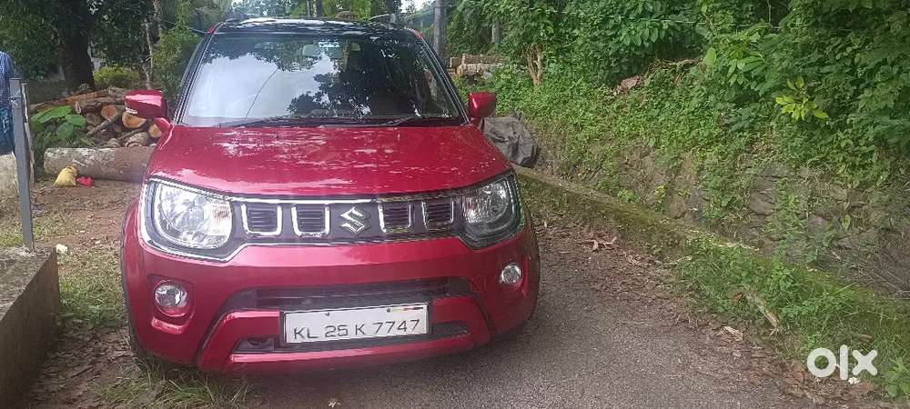 Ignis 1.2  Seta