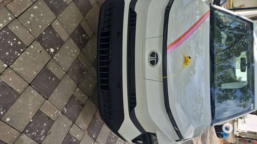 Tata Punch Ev