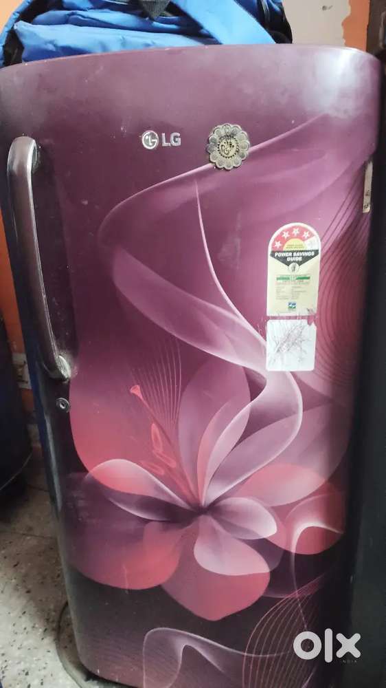 Fridge and washing machine, ac on rent