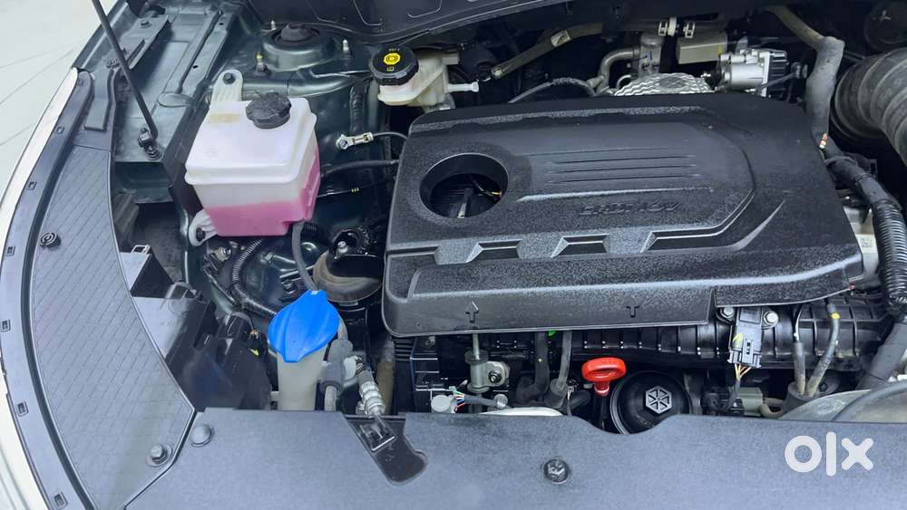 Kia Seltos 1.5 Gtx+ Diesel At, 2024, Diesel