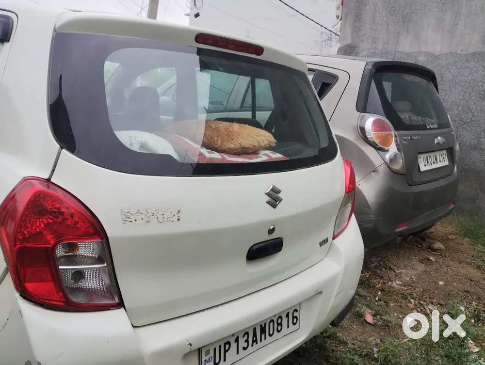 Maruti Suzuki Celerio 2014 Petrol 50000 Km Driven