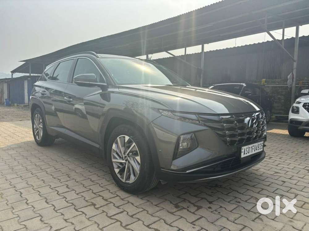 Hyundai Tucson 2.0 Signature 4wd Diesel At, 2024, Diesel