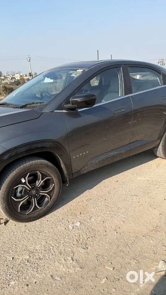 Tata Curvv 2025 Diesel 8500 Km Driven