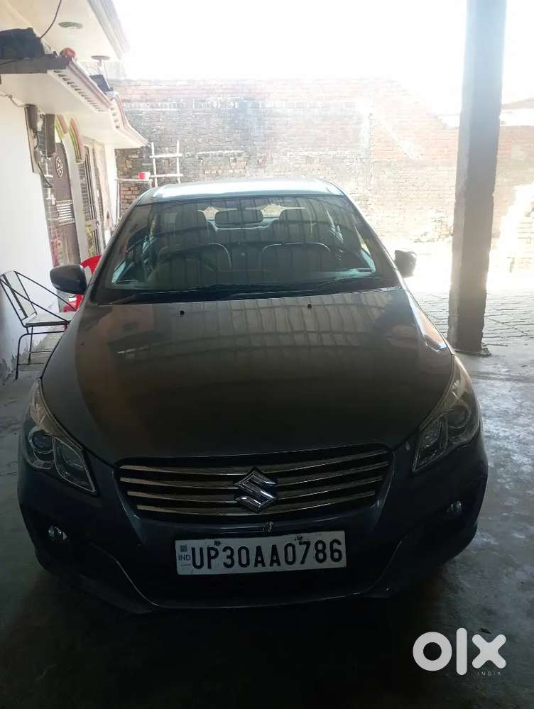 Ciaz Maruti Suzuki 2015 Car