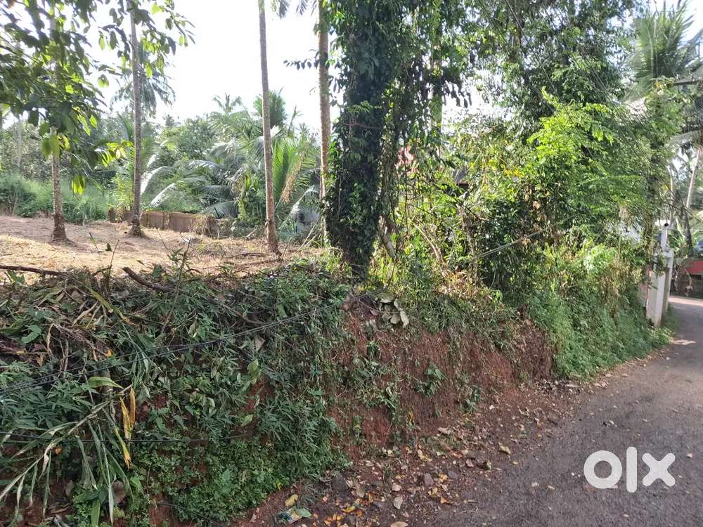 10/20 cent land sale just near old leela theater road, vellimadukunnu