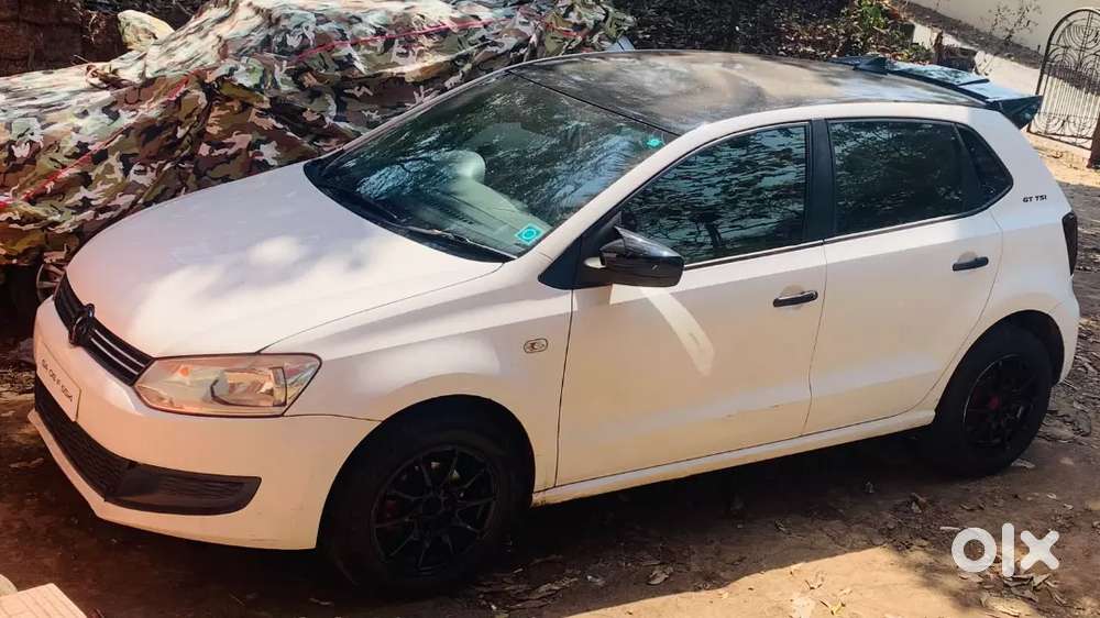Polo In Clean Condition