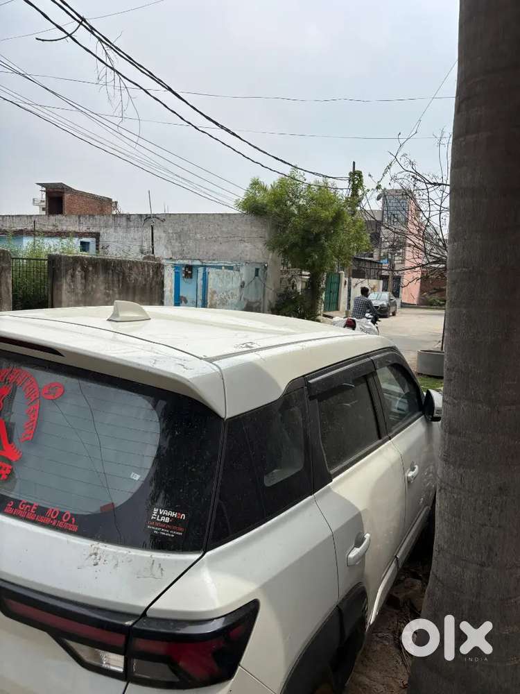 Maruti Suzuki Brezza 2024 Cng & Hybrids 47800 Km Driven